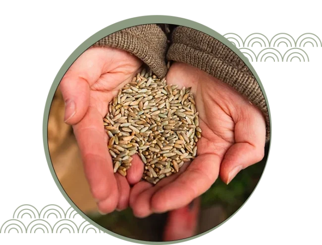 Percorsi Alimentari Staffieri Nutrizionista Roma Boccea | Studio Staffieri